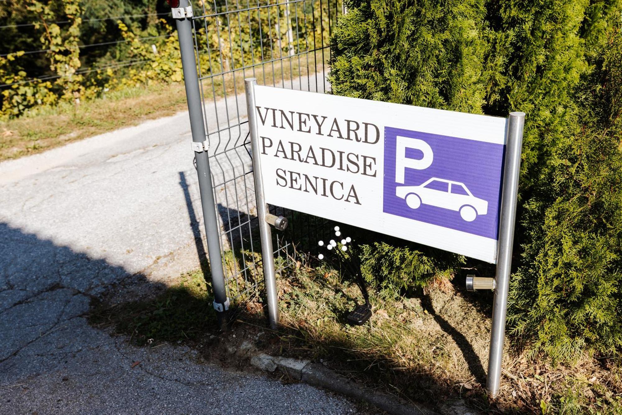 Vineyard Paradise Senica Dramlje 외부 사진