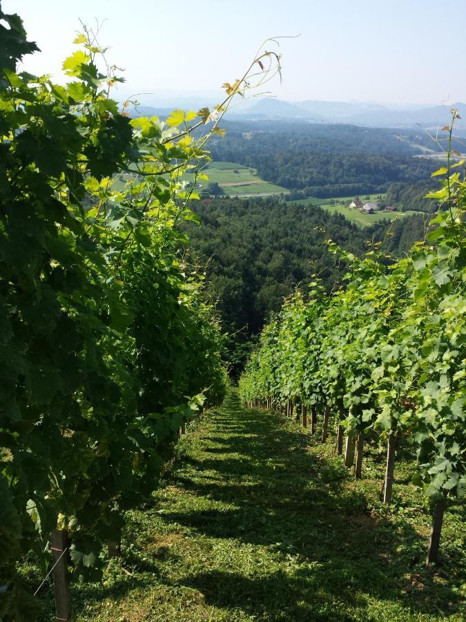 Vineyard Paradise Senica Dramlje 외부 사진